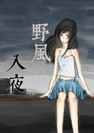 皮囊之罪（NP)