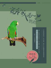 黄雀在后