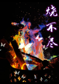 献个身还是可以的